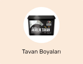 Tavan Boyaları