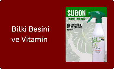 Bitki Besini ve Vitamin