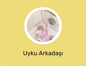 Uyku Arkadaşı