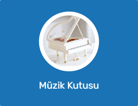 Müzik Kutusu