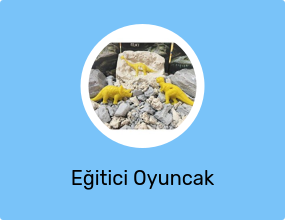 Eğitici Oyuncak