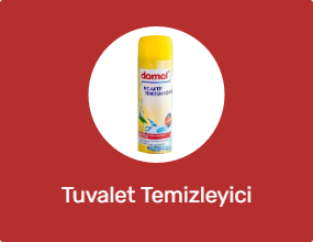 Tuvalet Temizleyici