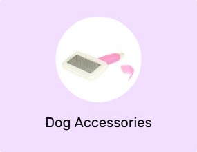 Dog Accessories