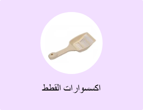 اكسسوارات القطط