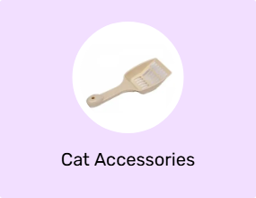 Cat Accessories