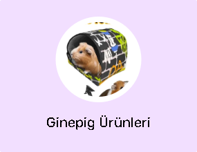 Ginepig Ürünleri