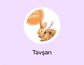 Tavşan