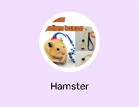 Hamster