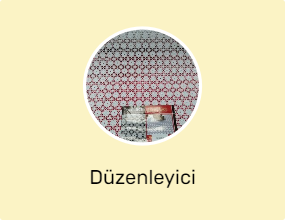 Düzenleyici