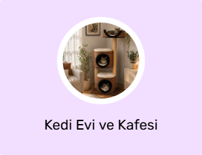 Kedi Evi ve Kafesi