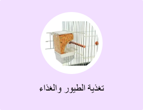 تغذية الطيور والغذاء