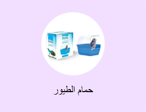 حمام الطيور