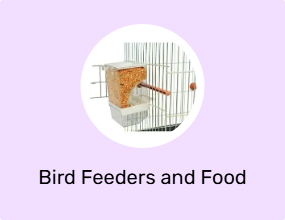 Bird Feeders and Food Boxes