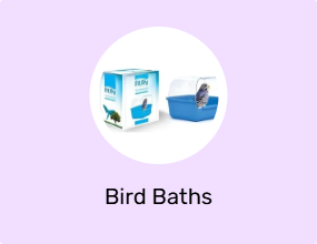 Bird Baths