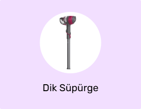 Dik Süpürge