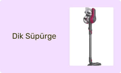 Dik Süpürge