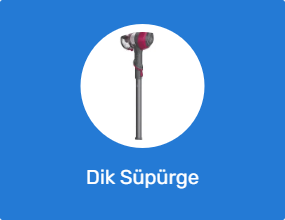 Dik Süpürge