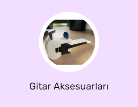 Gitar Aksesuarları