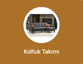 Koltuk Takımı