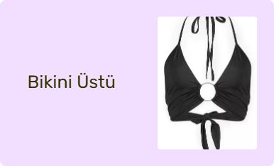 Bikini Üstü