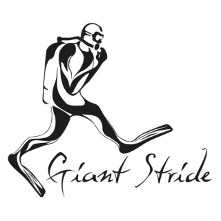 Giant Stride logo