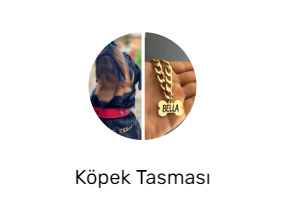 Köpek Tasması