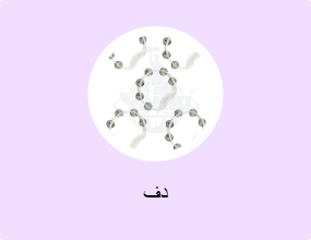 دف