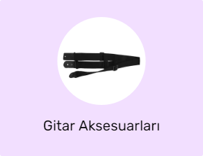 Gitar Aksesuarları