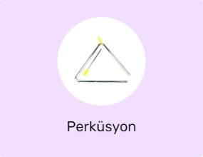 Perküsyon