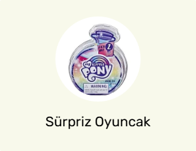 Sürpriz Oyuncak Figürleri