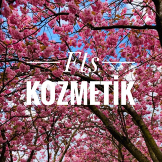 fts Kozmetik logo