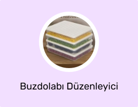 Buzdolabı Düzenleyici