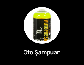 Oto Şampuan