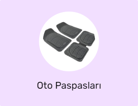 Oto Paspasları