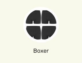 Boxer