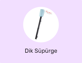 Dik Süpürge