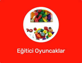 Eğitici Oyuncaklar