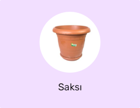 Saksı