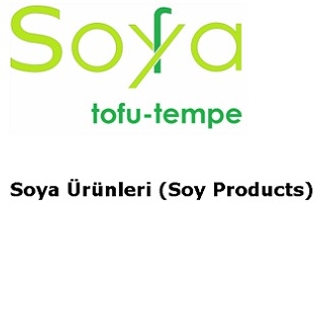tofutempe logo
