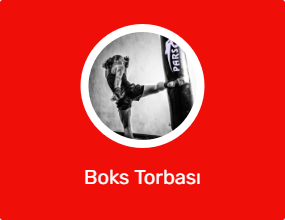 Boks Torbası