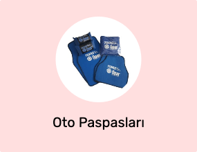 Oto Paspasları