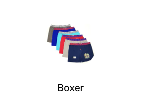 Boxer