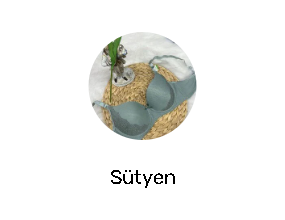 Sütyen
