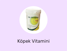 Köpek Vitamini