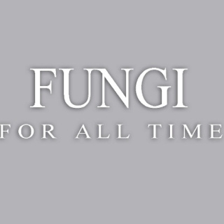 FUNGI ART logo