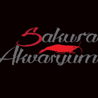 Sakura Akvaryum logo
