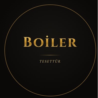 Boiler logo