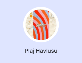 Plaj Havlusu
