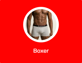 Boxer