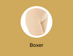Boxer